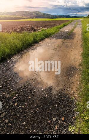 Piscine di acqua piovana su una strada sterrata nella campagna ceca. Strada di campagna dopo la pioggia. Foto Stock