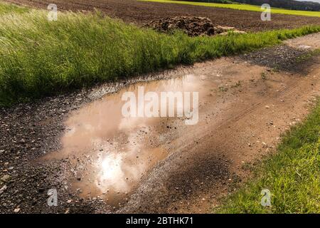 Piscine di acqua piovana su una strada sterrata nella campagna ceca. Strada di campagna dopo la pioggia. Foto Stock