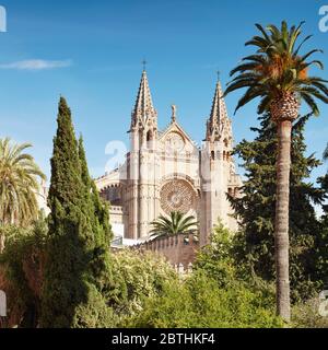 Cattedrale la Seu, Palma, Baleari, Spagna Foto Stock