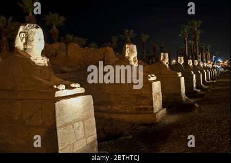 Antico viale egiziano di sfingi di pietra illuminato di notte al tempio di Luxor Foto Stock