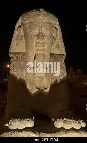 Antica sfinge di pietra egiziana illuminata di notte al tempio di Luxor Foto Stock