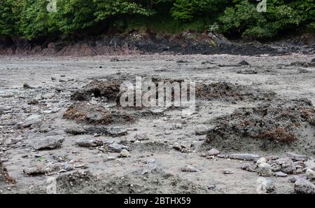 Formazione fangosa a Pwllcrochan Flats. Foto Stock