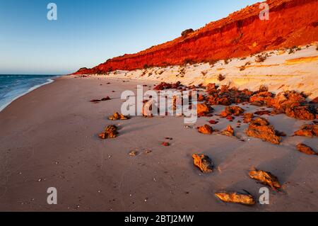 Le tipiche e famose dune rosse del Parco Nazionale Francois Peron. Foto Stock