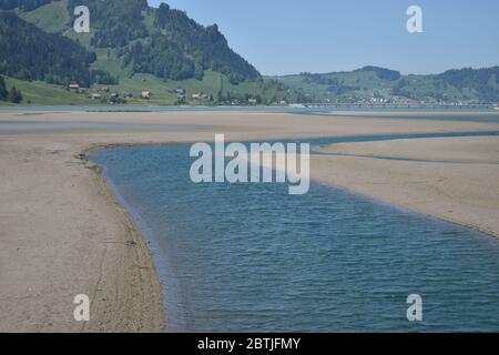 Piccolo fiume nella baia del Sihlsee in Svizzera Foto Stock