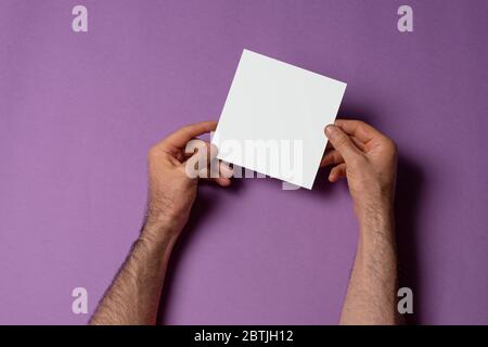 Mani maschili che tengono un catalogo a tre pieghe di dimensioni quadrate con copertina vuota su sfondo viola, modello di serie mock-up pronto per il tuo percorso di selezione includono Foto Stock