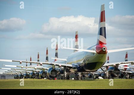 Glasgow, Scozia, Regno Unito. 26 Maggio 2020. Nella foto: Ha messo a terra a tempo indeterminato a causa del blocco del coronavirus (COVID19) che ha avuto un impatto devastante sul settore aereo e dell'aviazione globale. Visto all'aeroporto di Glasgow una collezione 14 Airbus A319/A320/A321 velivoli visti sigillati sul asfalto. British Airways ha licenziato quasi un quarto del proprio personale in un po' per ridurre i costi di spirale con una frazione della propria flotta in funzione. Credit: Colin Fisher/Alamy Live News Foto Stock