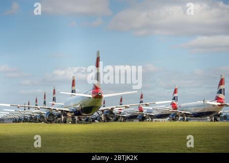 Glasgow, Scozia, Regno Unito. 26 Maggio 2020. Nella foto: Ha messo a terra a tempo indeterminato a causa del blocco del coronavirus (COVID19) che ha avuto un impatto devastante sul settore aereo e dell'aviazione globale. Visto all'aeroporto di Glasgow una collezione 14 Airbus A319/A320/A321 velivoli visti sigillati sul asfalto. British Airways ha licenziato quasi un quarto del proprio personale in un po' per ridurre i costi di spirale con una frazione della propria flotta in funzione. Credit: Colin Fisher/Alamy Live News Foto Stock