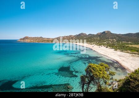 Mare mediterraneo turchese traslucido che lambisce su una spiaggia quasi deserta Ostriconi nella regione Balagne della Corsica con il deserto degli Agriates Foto Stock