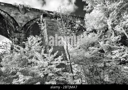 Carvedras Ferrovia Viadotto, Truro, Cornovaglia UK Foto Stock