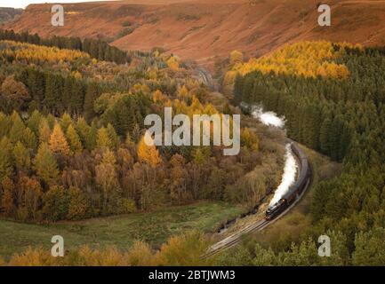 Un treno a vapore nella foto che corre sulla North Yorkshire Moors Railway (vicino a Pickering) attraverso alcune scene da cartolina molto autunnali Foto Stock