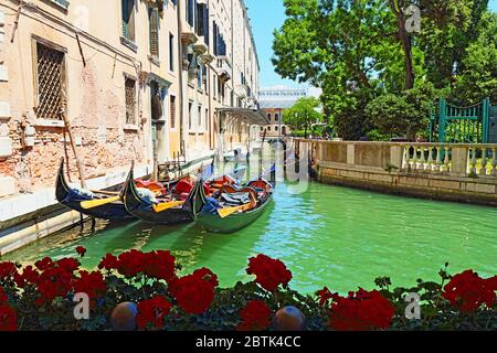 Fiori di geranio rosso e gondole ormeggio in canale da Giardini reali-Giardini reali di Venezia-paesaggistico area sul Canal Grande Venezia,Italia,Giugno 2016 Foto Stock