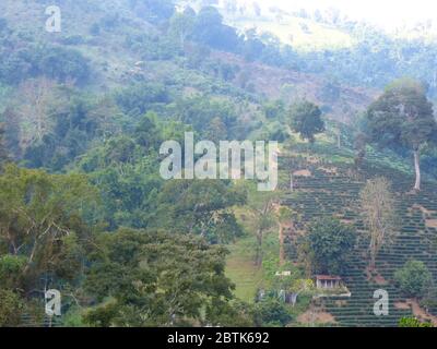 Impressione di un bellissimo tour di trekking intorno a Chiang Rai Foto Stock