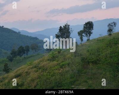 Impressione di un bellissimo tour di trekking intorno a Chiang Rai Foto Stock