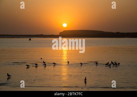 Alba sul lago Illawarra NSW Australia Foto Stock