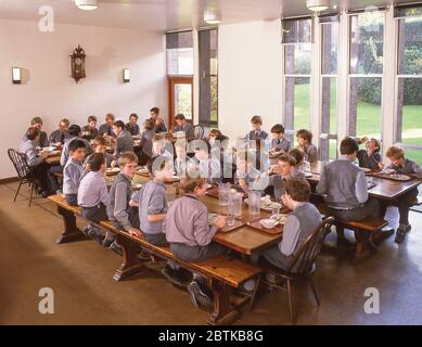 Bambini della scuola che mangiano il pranzo nella sala da pranzo della scuola, Surrey, Inghilterra, Regno Unito Foto Stock