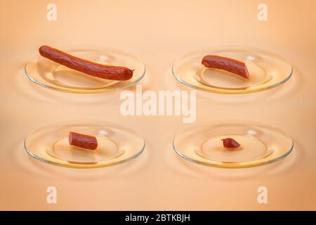 Quattro piatti con quattro pezzi di salsicce: Uno grande e tre decrescente a uno più piccolo Foto Stock