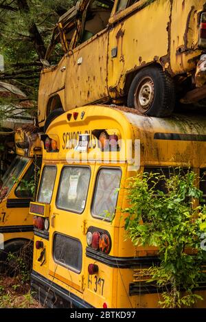 Autobus impilati presso il cimitero degli autobus scolastici di Alto, Georgia. (STATI UNITI) Foto Stock