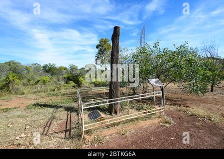 L'esploratore John McDouall Stuart si presume abbia scolpito LA 'S' iniziale su questo albero, Daly Waters, Northern Territory, NT, Australia Foto Stock