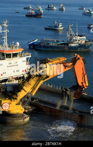 Drager, Porto di Manta, Provincia di Manabi, Ecuador, Sud America Foto Stock