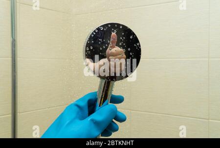 doccia annaffiatoio in mani con guanti di gomma, pulizia del bagno e della cabina doccia. Foto Stock