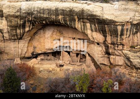 CO00253-00...COLORADO - Oak Tree House, costruita dagli Ancestrale Puebloans 700 anni fa, Mesa Verde National Park. Foto Stock