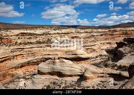 UT00637-00...UTAH - Vista su di una pietra arenaria stratificata al White Canyon nel Natural Bridges National Monument. Foto Stock