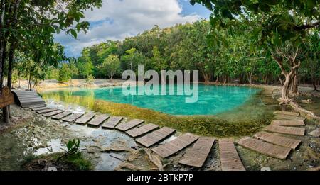 Emerald Pool è una piscina inosservata nella foresta di mangrovie a Krabi in Thailandia. Foto Stock