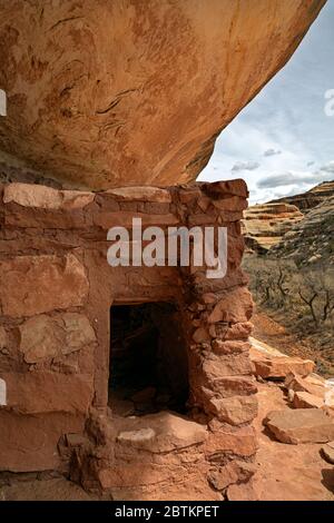 UT00656-00...UTAH - la dimora di Cliff costruita dai Puebloans ancestrali in una profonda baia, parte della rovina di Horsecollar in Natural Bridges National Monument. Foto Stock