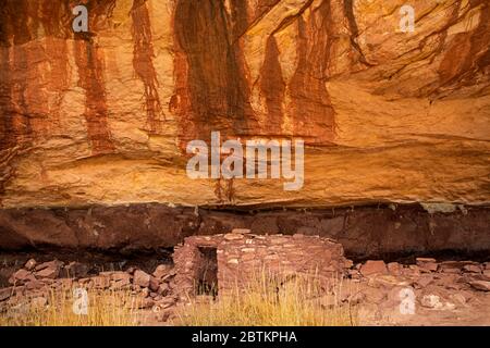 UT00660-00...UTAH - UNA kiva alla rovina di Horsecollor, di 700 anni, costruita dai Ancestral Puebloans nel Natural Bridges National Monument. Foto Stock