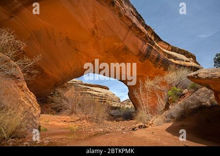 UT00663-00...UTAH - Ponte Kachina nel Canyon Bianco del Natural Bridges National Monument. Foto Stock