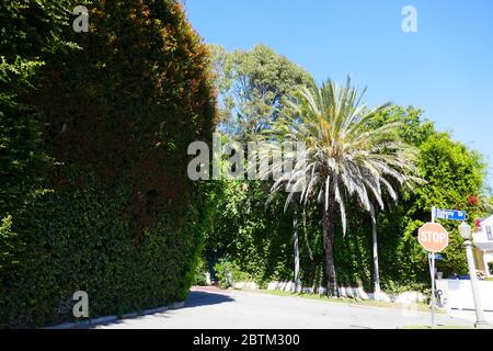 Los Angeles, California, USA 26 maggio 2020 UNA visione generale dell'atmosfera della ex casa di Dorothy Lamour al 1375 N. Doheny Drive il 26 maggio 2020 a Los Angeles, California, USA. Foto di Barry King/Alamy Stock foto Foto Stock