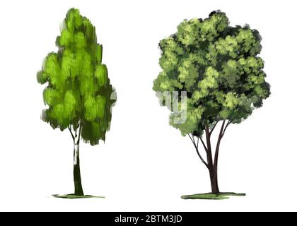 Albero insieme elementi floreali, natura, disegno a mano disegno disegno disegno arte dipinto con acquerelli isolati su sfondo bianco. Foto Stock