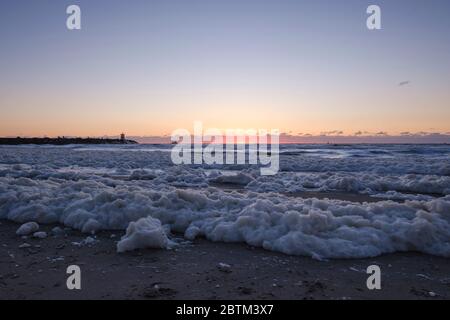 Schiuma di mare, habitat per microrganismi marini come zooplancton, fitoplancton, alghe e protozoi. Sulla spiaggia costiera al tramonto Foto Stock