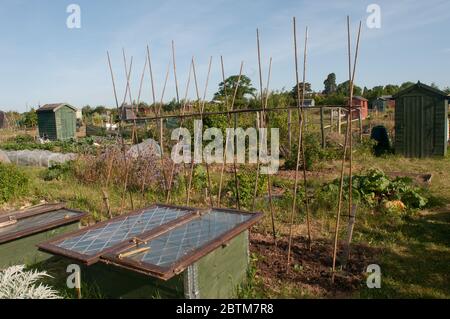 Allocazioni in Baschurch Shropshire UK Foto Stock