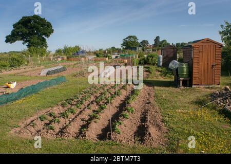 Allocazioni in Baschurch Shropshire UK Foto Stock