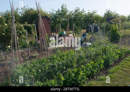 Allocazioni in Baschurch Shropshire UK Foto Stock