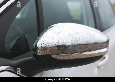 Molti insetti si sono schiantati contro un'auto bianca dopo un lungo viaggio. Zanzare accumulate sulla cappa dopo un viaggio. Foto Stock