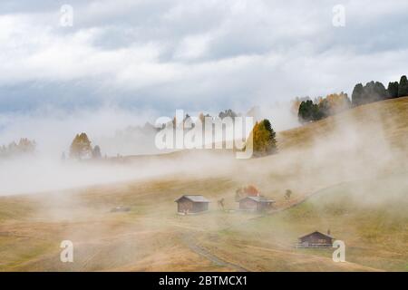 Una vista nebbiosa dei prati delle Dolomiti dopo la pioggia Foto Stock