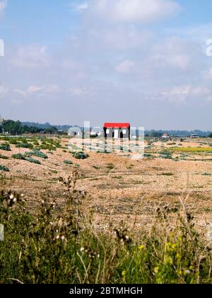 Rye Harbor Nature Reserve East Sussex Foto Stock