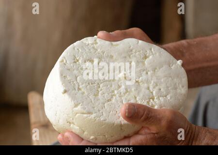 Dopo aver seguito il processo di produzione del formaggio, il pastore preleva dal contenitore il prodotto con la sua forma tipica e inizia l'essiccazione e il mare Foto Stock