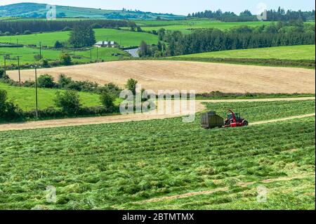 Drinagh, West Cork, Irlanda. 27 maggio 2020. In una giornata molto soleggiata a West Cork, Jamie Wilson, guidando un Massey Ferguson 6475, raccoglie l'insilato utilizzando una trebbiatrice JF FC 850 nella fattoria di George Wilson, Drinagh, West Cork. Credit: Notizie dal vivo di AG/Alamy Foto Stock