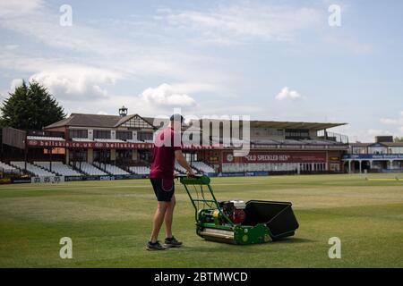 Il capo della squadra di base Craig Harvey tende all'esterno del County Ground, sede del Northamptonshire County Cricket Club, mentre il cricket professionale attende di ricevere il via libera per tornare dopo la pandemia del coronavirus. Foto Stock