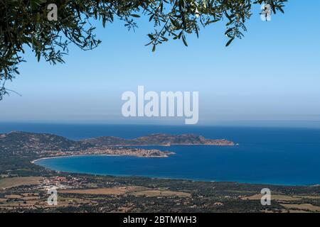 La cittadella e la baia di Calvi nella regione Balagne della Corsica con la Revellata alle spalle e incorniciato dalle foglie di un olivo Foto Stock