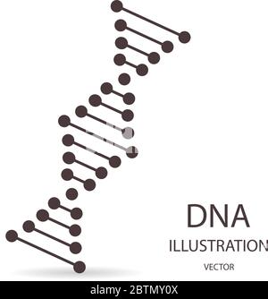 Simbolo di DNA in stile appartamento, su sfondo bianco Illustrazione Vettoriale