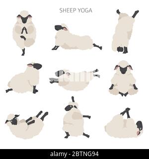 Sheep yoga pone la collezione. Animali da fattoria. Design piatto. Illustrazione vettoriale Illustrazione Vettoriale