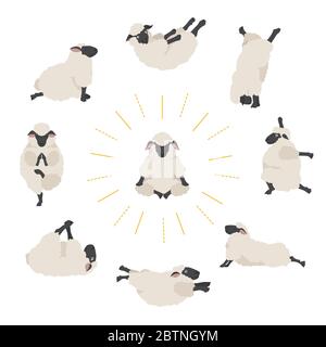 Sheep yoga pone la collezione. Animali da fattoria. Design piatto. Illustrazione vettoriale Illustrazione Vettoriale