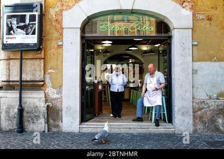 Roma, Italia. 27 maggio 2020. Un uomo che alimenta un gabbiano Roma 27 maggio 2020. Coronavirus, negozi nel centro di Roma. Photo Samantha Zucchi Insifefoto Credit: Insifefoto srl/Alamy Live News Foto Stock