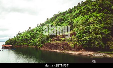 Gli alberi. Montagna sull'isola e rocce. Giungle, alberi, fiume. Paesaggio mangrovie. Thailandia Foto Stock