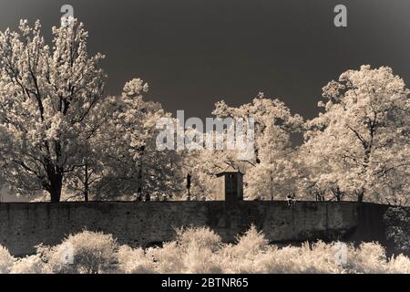 immagine a infrarossi - collina di lindenhof - città di zurigo - svizzera Foto Stock