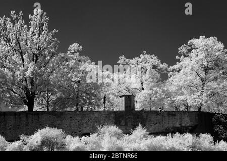 immagine a infrarossi - collina di lindenhof - città di zurigo - svizzera Foto Stock